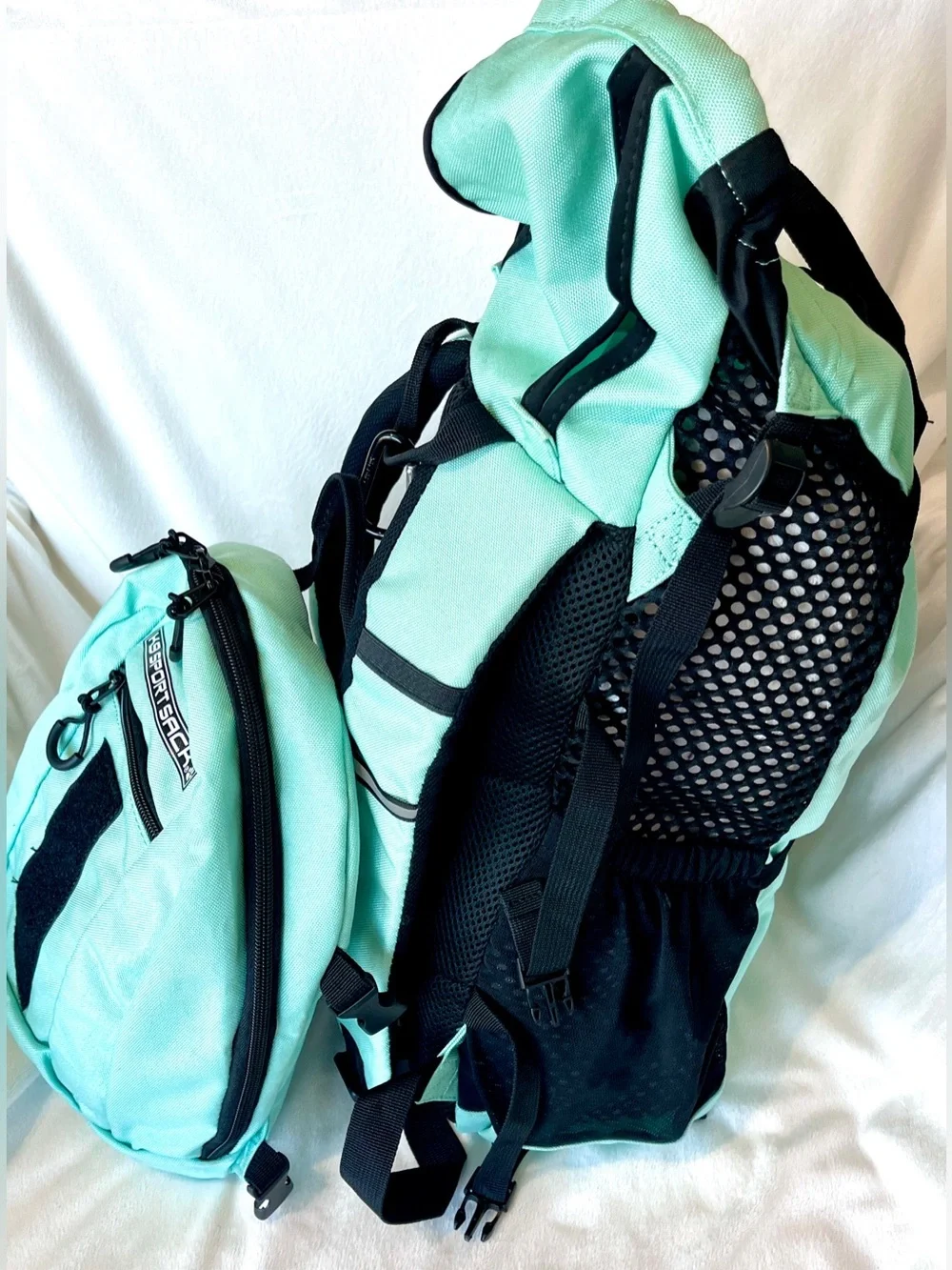 K9 Sport Sack Plus 2 Dog Carrier Backpack Mint Green Size Large L Hiking Pack